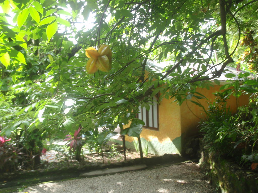 Pachamama Tropical Garden Lodge Malpais Habitación foto