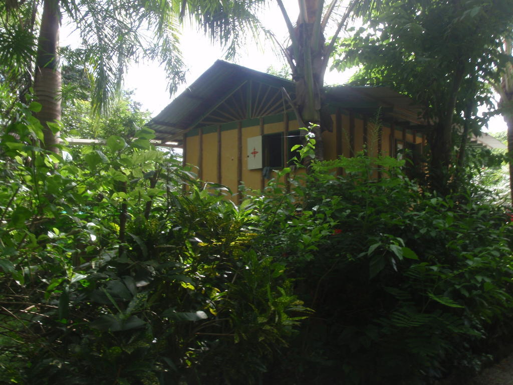 Pachamama Tropical Garden Lodge Malpais Habitación foto